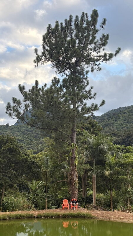 Profile picture for Kei Kato