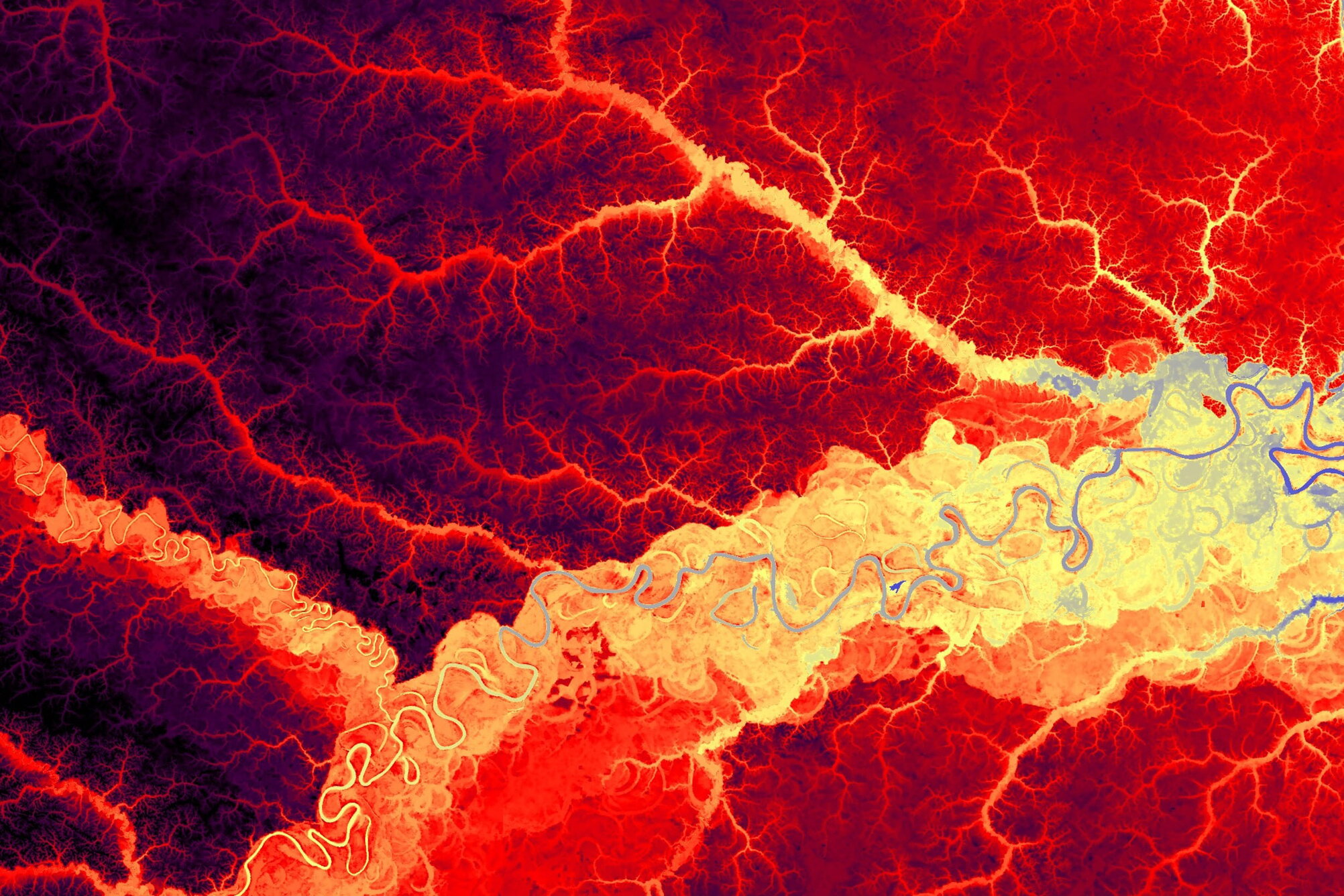 Dendritic networks.