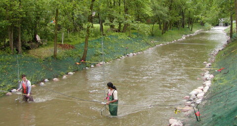 students measuring river